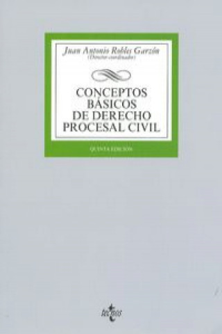 Conceptos básicos de derecho procesal civil / Basics concepts of civil procedural law