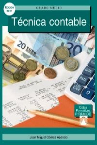 Técnica contable / Accounting techniques