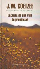 Escenas de una vida de provincias / Scenes from Provincial Life