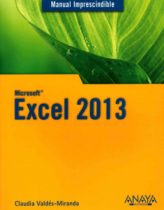 Excel 2013