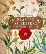 Atlas ilustrado de plantas silvestres e infusiones curativas / Illustrated Atlas of Wild Plants and Healing Infusions