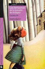Los fantasmas de la mansion de tia Agata / The Ghosts of Aunt Agatha's Mansion