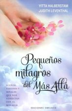 Pequeńos milagros del más allá/ Small Miracles