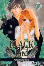 Black Bird 7