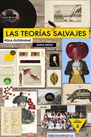 Las teorías salvajes / Wild theories