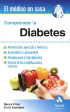 Comprender la diabetes/ Understanding Diabetes