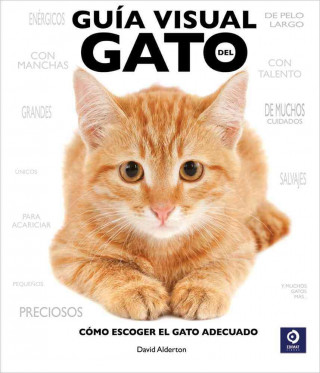 Guía visual del gato / The Cat Selector