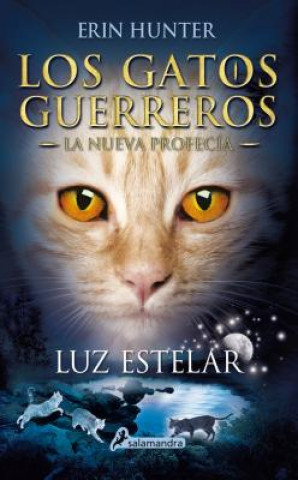 Luz estelar/ Starlight