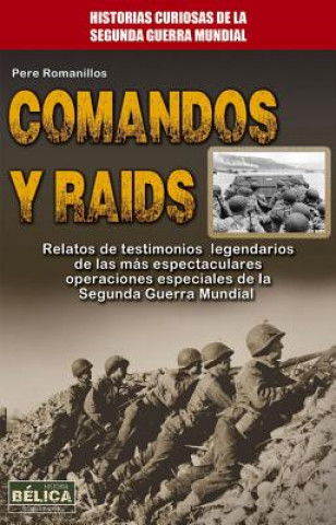 Comandos y raids