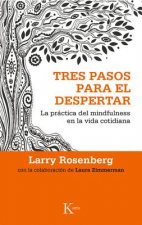 Tres pasos para el despertar