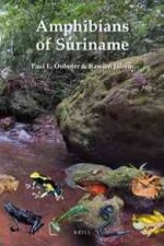 Amphibians of Suriname