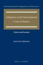 Litigation at the International Court of Justice