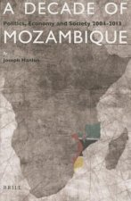 A Decade of Mozambique