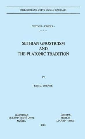 Sethian Gnosticism and the Platonic Tradition