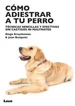 Cómo adiestrar a tu perro