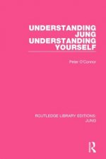 Understanding Jung Understanding Yourself