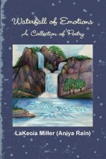 Waterfall of Emotions