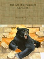 Art of Persuasion: Gustafson