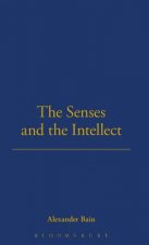 Senses And The Intellect