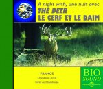 A Night With The Deer