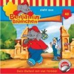 Folge 040:...zieht aus