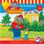 Folge 095:Die Wunderblume