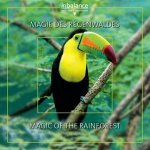 Magie Des Regenwaldes/Magic Of The Rainforest