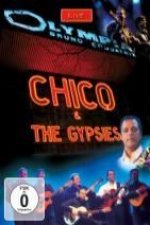 Live At The Olympia (DVD)