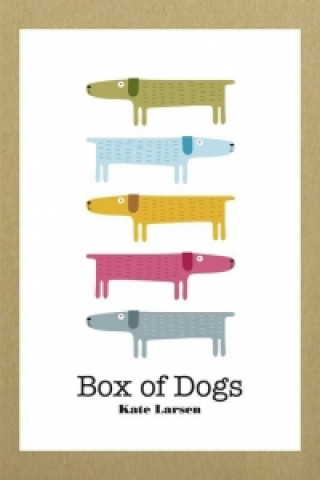 Box of Dogs Kate Larsen