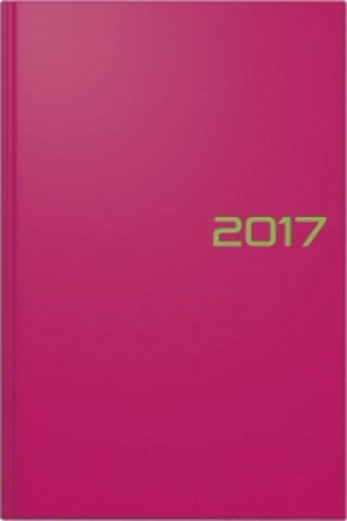Brunnen Buchkalender 2020, Modell 795 A5 pink