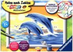 Freunde des Meeres. Malen nach Zahlen Serie E