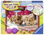 Zwei Schmusekätzchen. Malen nach Zahlen Serie D