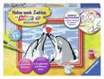 Spielende Delfine. Malen nach Zahlen Serie F