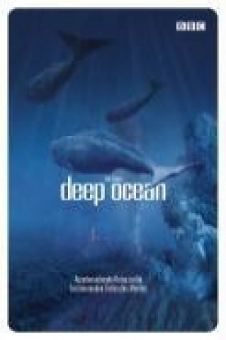 Deep Ocean - Atemberaubende Reise in die Tiefen des Meeres