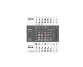 Ersatzkalendarium 2019 Nr. 980-6198