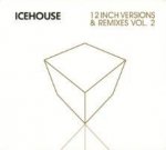 12 Inch Versions & Remixes-Vol.2