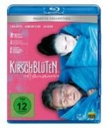 Kirschblüten-Hanami