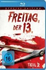 Freitag der 13. - Teil 2