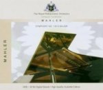 Sinfonie 1 I D Major
