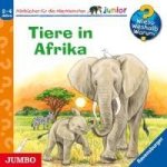 Tiere In Afrika