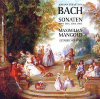 Sonaten BWV 1001,1003,1005 in Transkription
