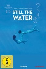 Still the Water (OmU)