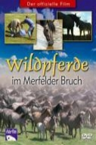 Wildpferde im Merfelder Bruch