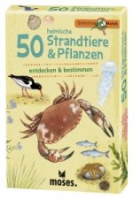 50 heimische Strandtiere & Pflanzen entdecken & bestimmen