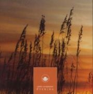 Evening-Ozella Compilation
