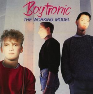 The Working Model (Deluxe Edit