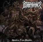 Awaken from slumber