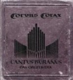 Cantus Buranus-Das Orgelwerk