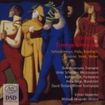 Forgotten Treasures IX-Virtuose Trompetenmusik