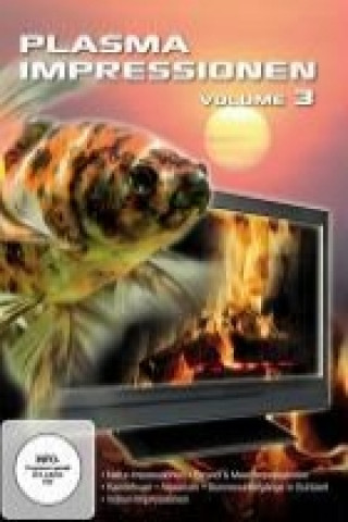 Plasma Impressionen